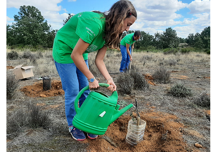 Foto Iberdrola involucra a 5.000 voluntarios en la Semana Internacional del Voluntariado.